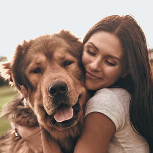 Dental Care Dental Care Page