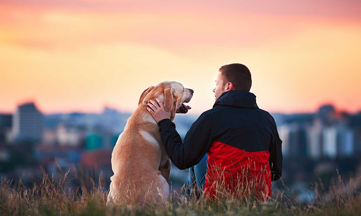 A man with his dog and a beautiful view